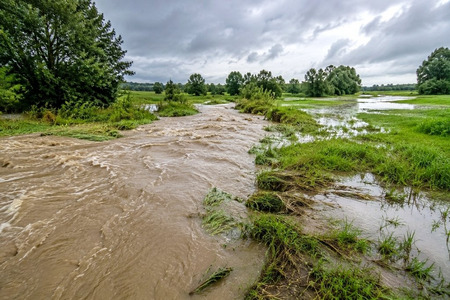fot. poglądowe