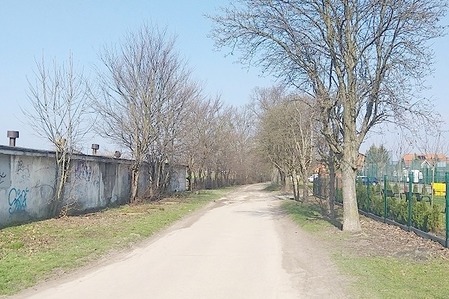 fot. UM Szubin