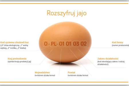 fot. Powiatowa Stacja Sanitarno-Epidemiologiczna w Pyrzycach