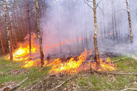 fot. OSP Solec Kujawski