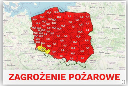 fot. lasy.gov.pl