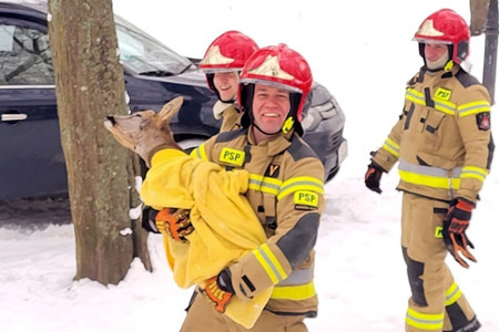 fot. Ministerstwo Spraw Wewnętrznych i Administracji