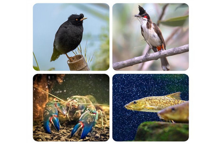 fot. Generalna Dyrekcja Ochrony Środowiska